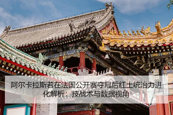 a-er-ka-la-si-ruo-zai-fa-guo-gong-kai-sai-duo-guan-hou-hong-tu-tong-zhi-li-jin-hua-jie-xi-ji-zhan-shu-yu-shu-ju-shi-jiao-2-123.jpg